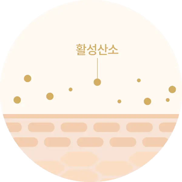 [잡티톤업/비타민C세럼] 닥터디퍼런트 CEQ 안티옥시던트 세럼 15ml 상세페이지 18